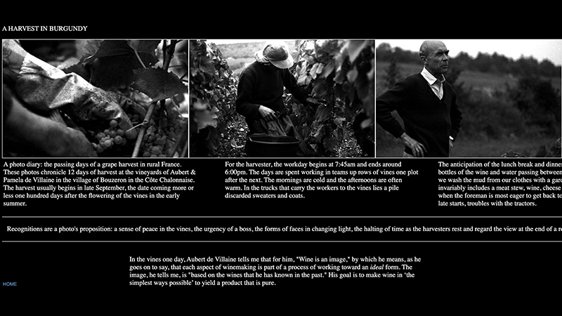 gallery image of Photo Essay: A Harvest in Burgundy