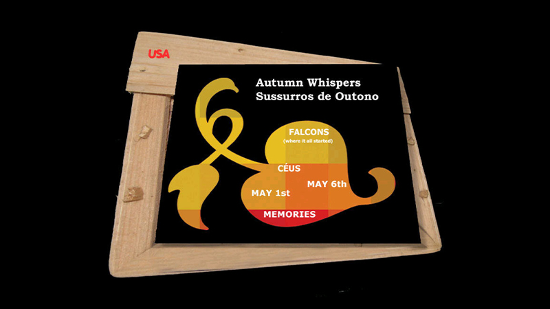 gallery image of Correspondences / Correspondêncías