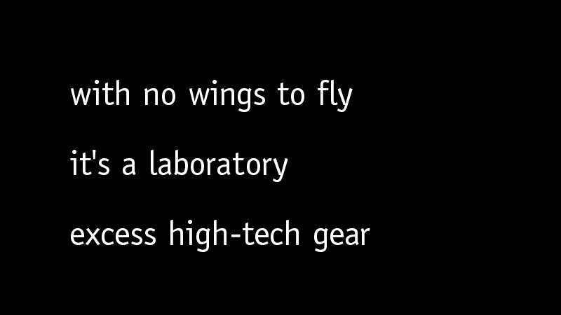 gallery image of Random Haiku for the Millennial Shift