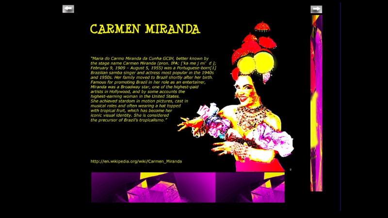 gallery image of Carnaval 2009 - Rio de Janeiro