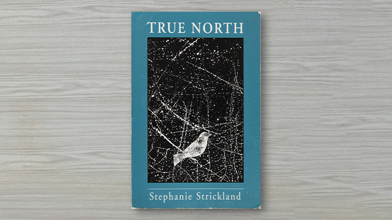 gallery image of True North (Print Edition)