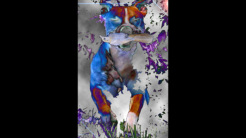 gallery image of Images for Thirteen Ways of Killing a Scrub-Jay