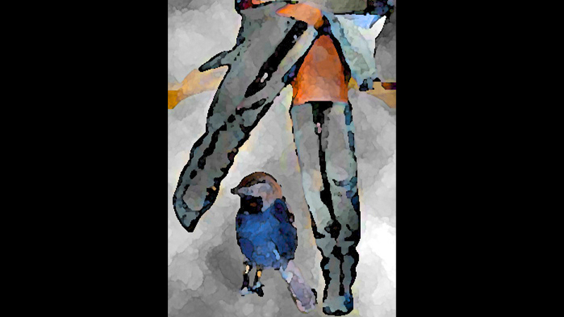 gallery image of Images for Thirteen Ways of Killing a Scrub-Jay