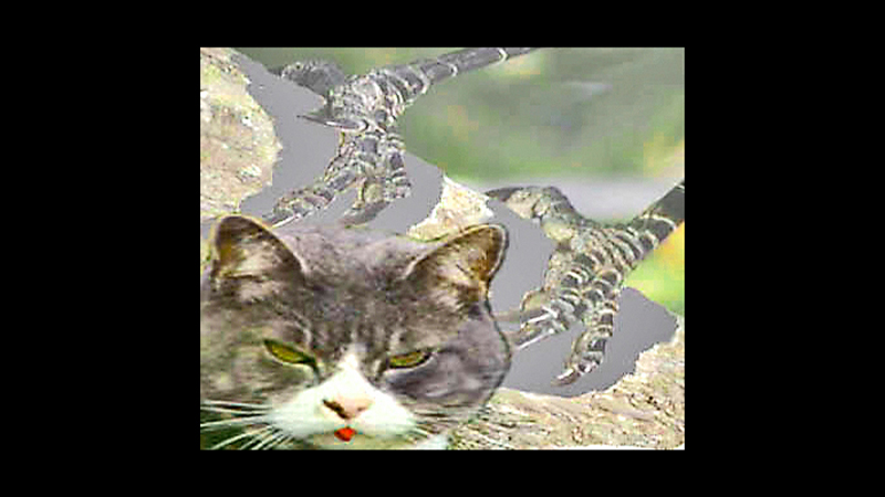 gallery image of Images for Thirteen Ways of Killing a Scrub-Jay