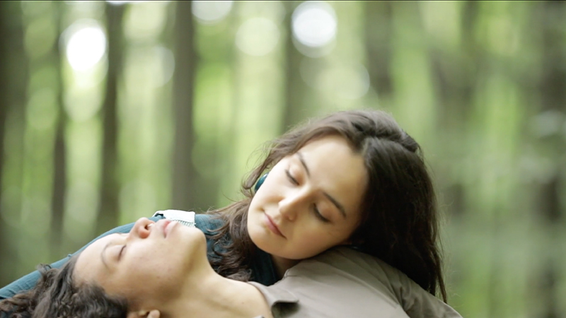 gallery image of Beyond the Trees