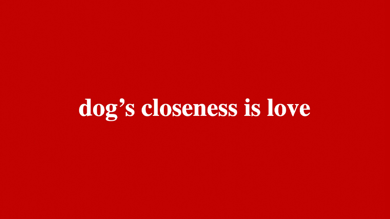 gallery image of Arf Magna