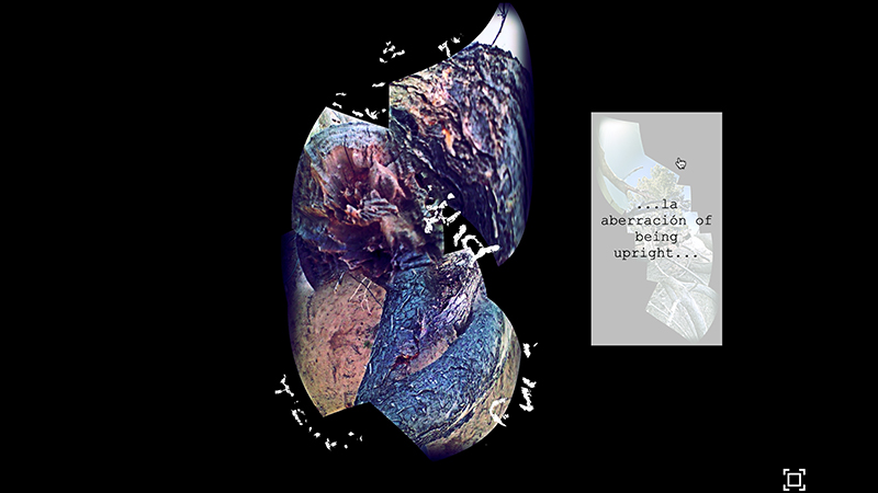 gallery image of Árboles de mi Desierto: Windsongs