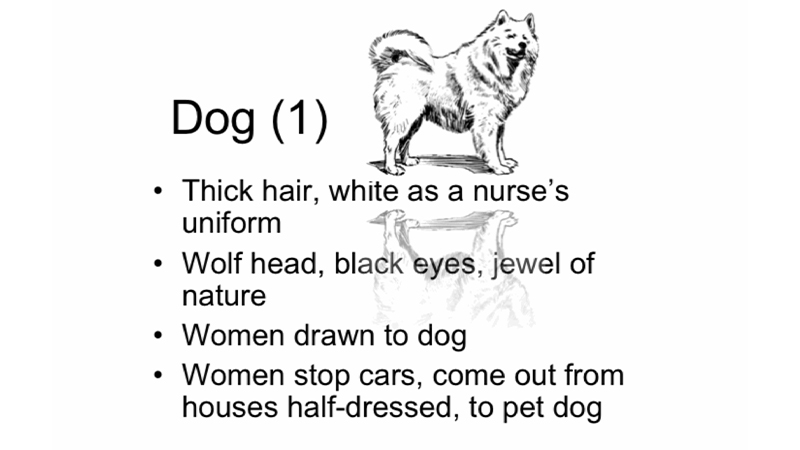 gallery image of Voyeur with Dog