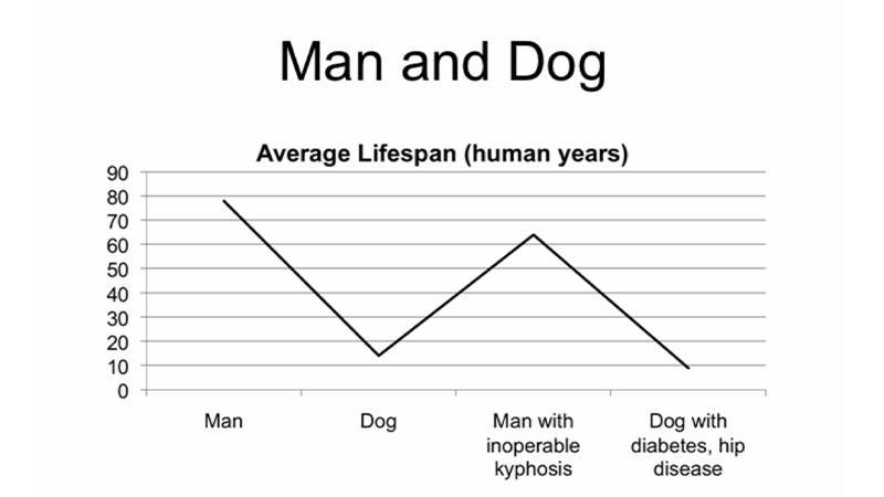 gallery image of Voyeur with Dog