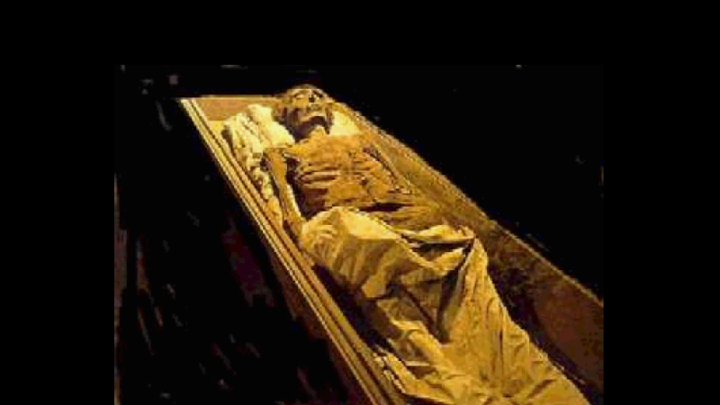 gallery image of Traces of the Catacombes