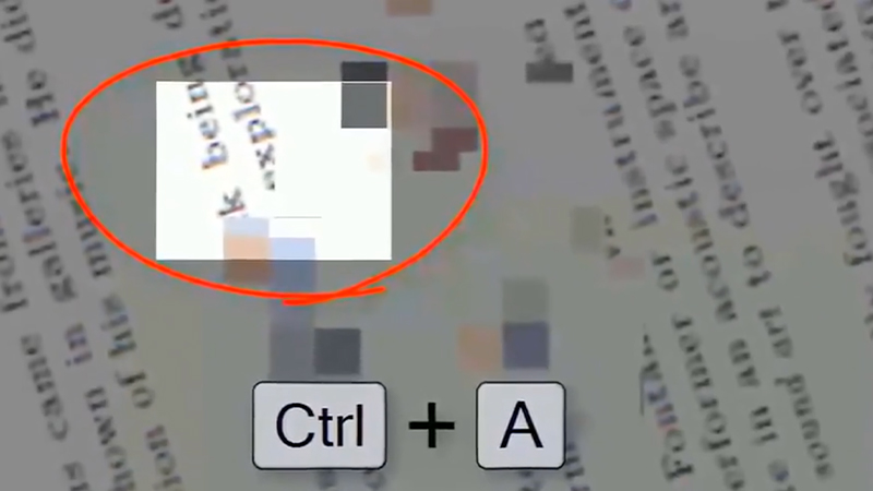 gallery image of Camtasia Fantasy