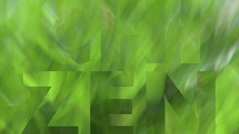 gallery image of bamboo