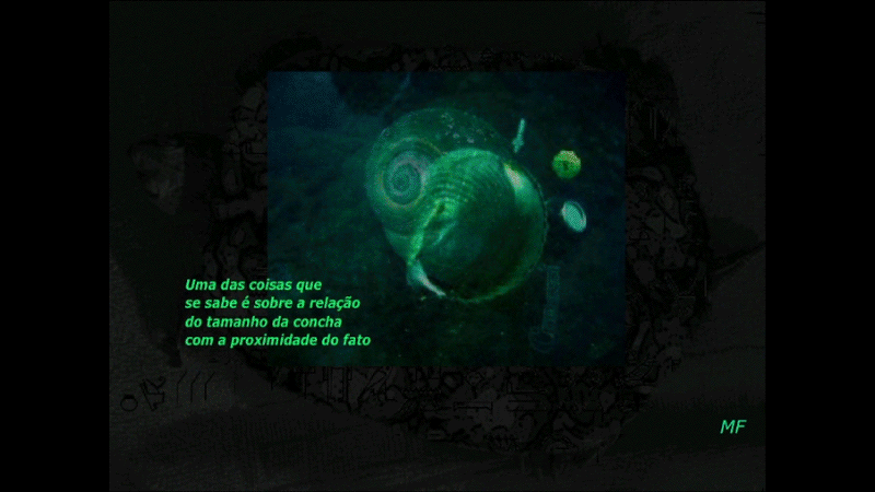 gallery image of Untitled Frazão Work 1