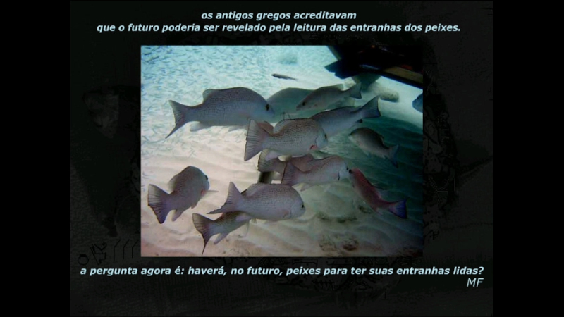 gallery image of Untitled Frazão Work 1