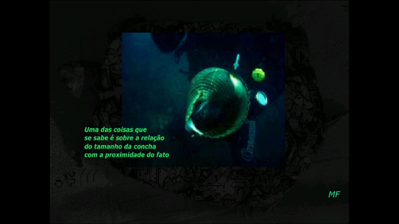 gallery image of Untitled Frazão Work 1