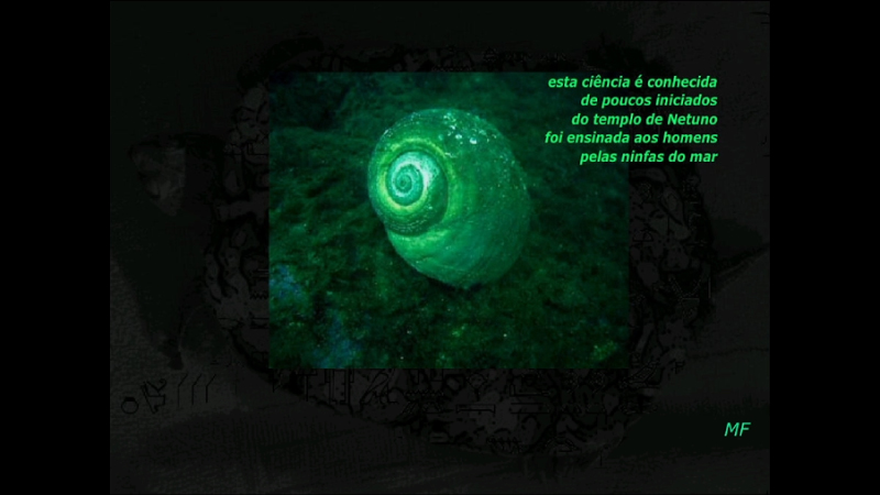 gallery image of Untitled Frazão Work 1