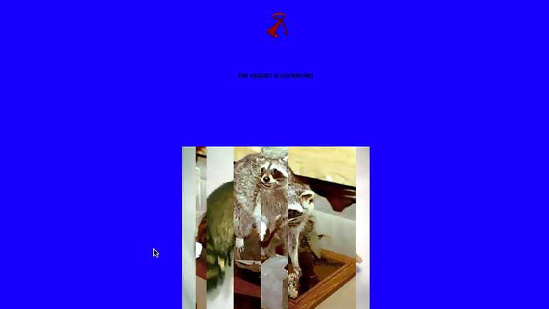 gallery image of La cravate et le raton laveur