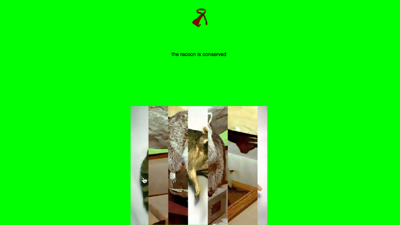 gallery image of La cravate et le raton laveur