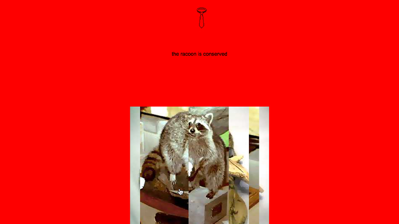 gallery image of La cravate et le raton laveur