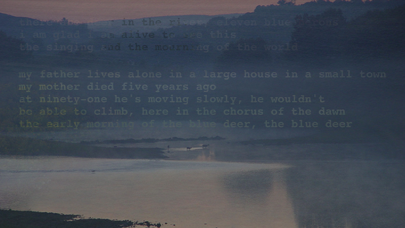 gallery image of Dawn