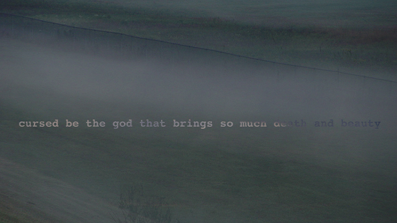 gallery image of Dawn