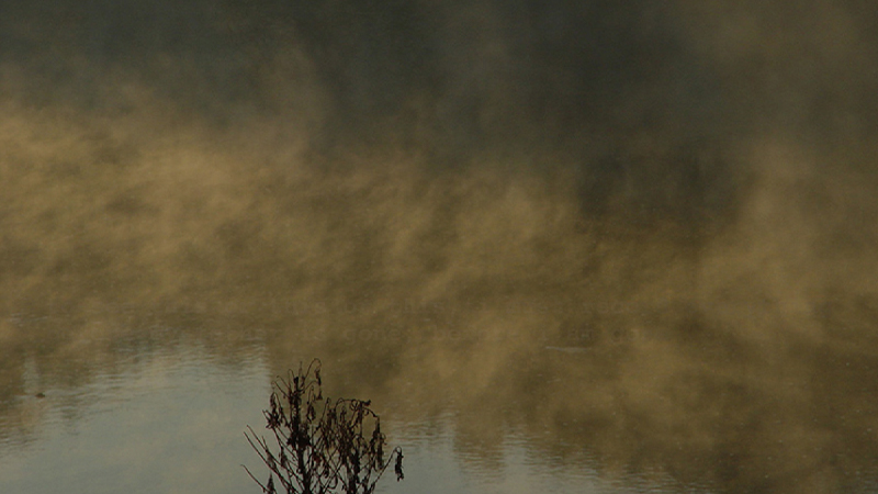 gallery image of Dawn