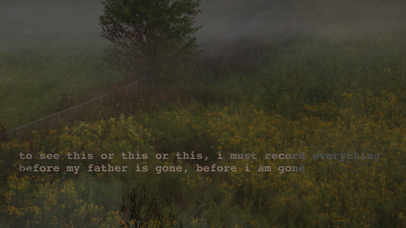 gallery image of Dawn