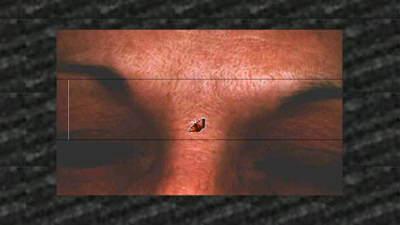 gallery image of Evaline