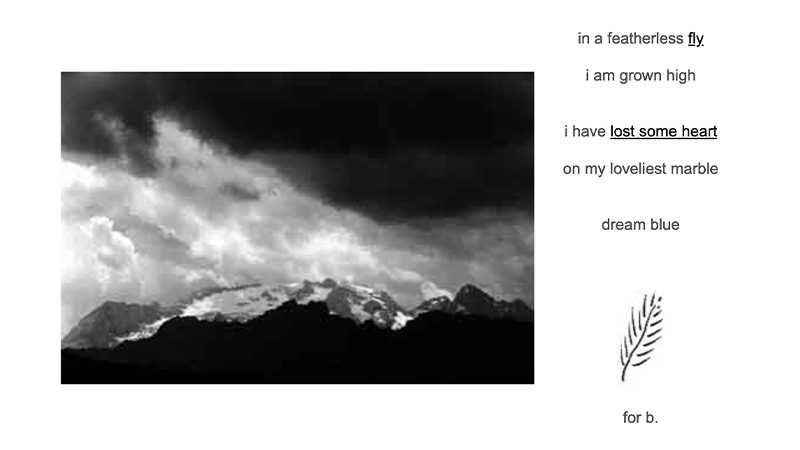 gallery image of featherless fly