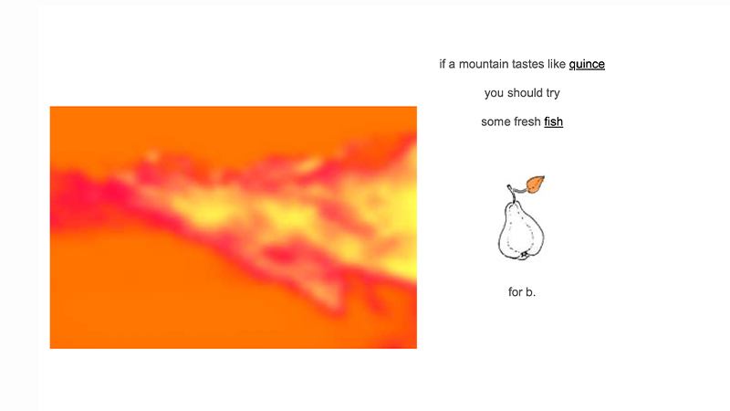 gallery image of featherless fly