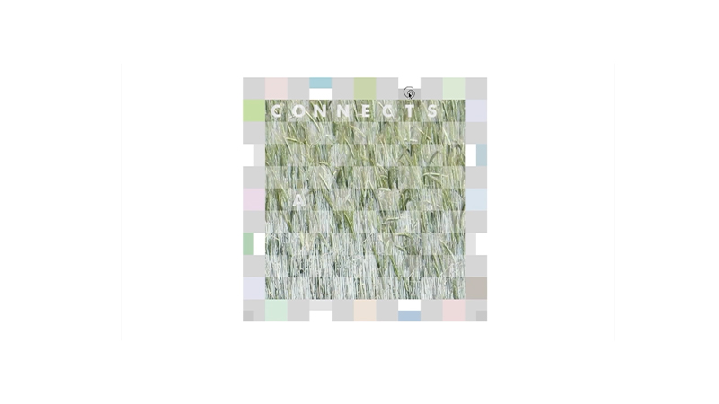 gallery image of inter.woven