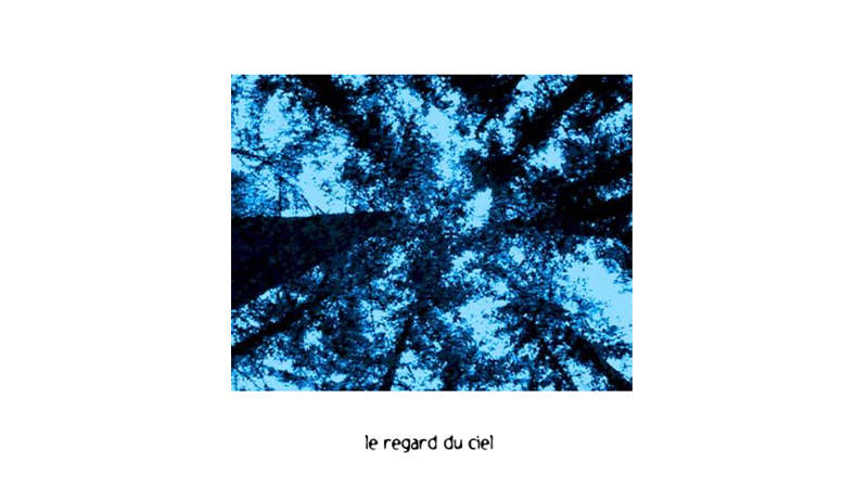 gallery image of le parapluie