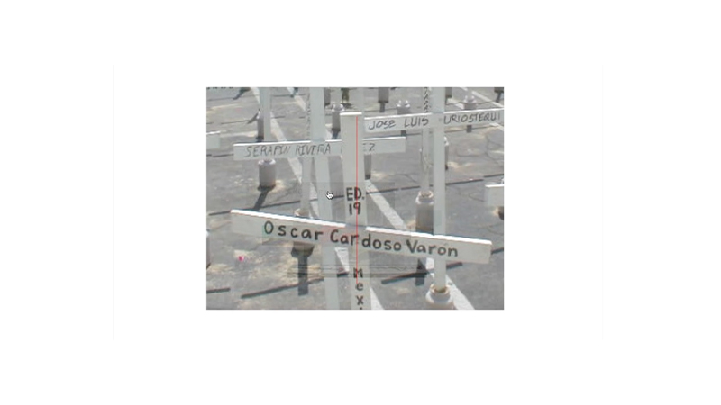 gallery image of vib~ratio~n