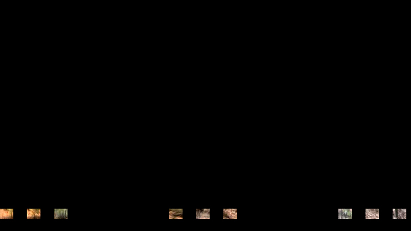 gallery image of structur/al walk