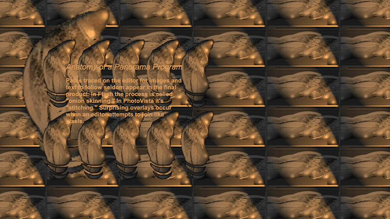 gallery image of Anatomy of a Panorama Program