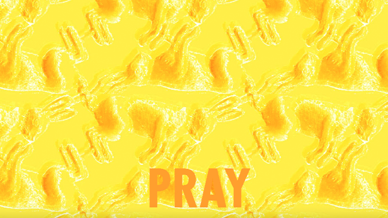 gallery image of wrong rabbit