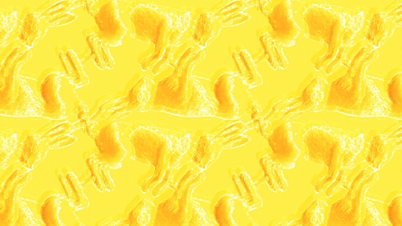 gallery image of wrong rabbit