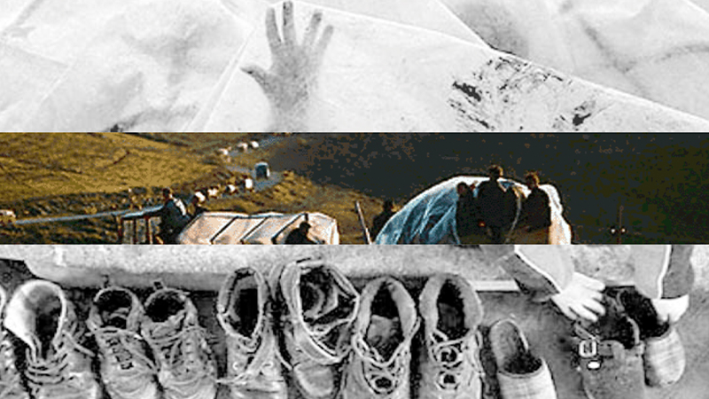 gallery image of no - no - no