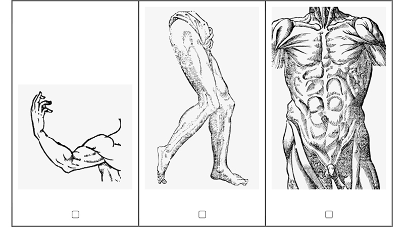 gallery image of donate