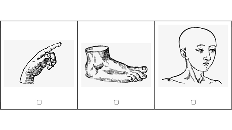 gallery image of donate