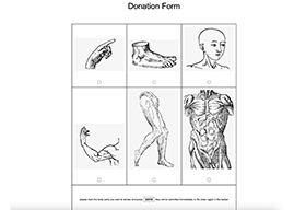 highlight image of work