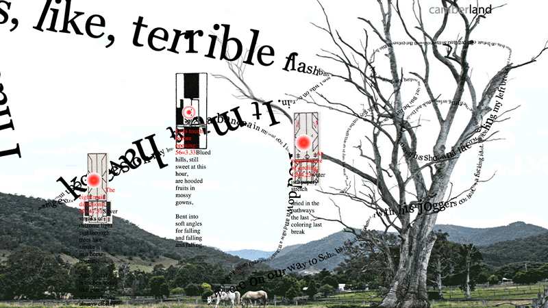 gallery image of Camberland