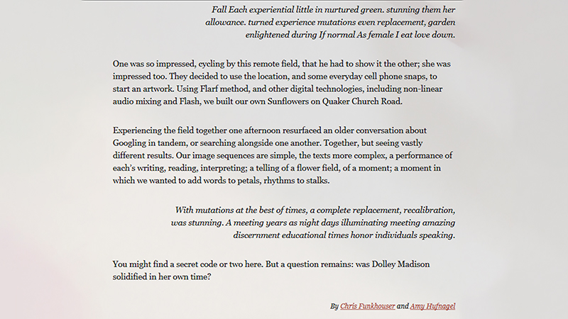 gallery image of Sunflowers on Quaker Church Road