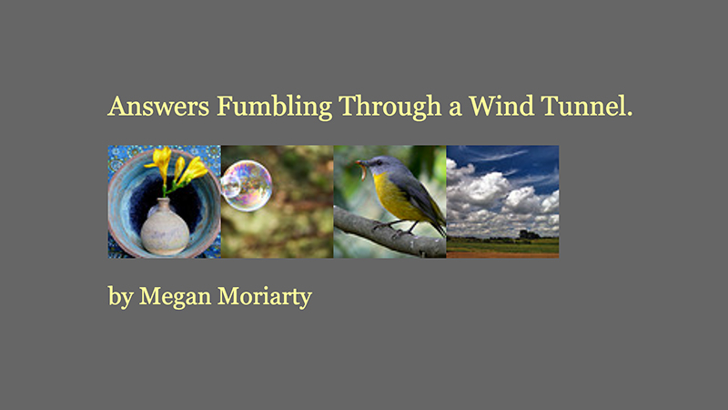 gallery image of Answers Fumbling Through a Wind Tunnel