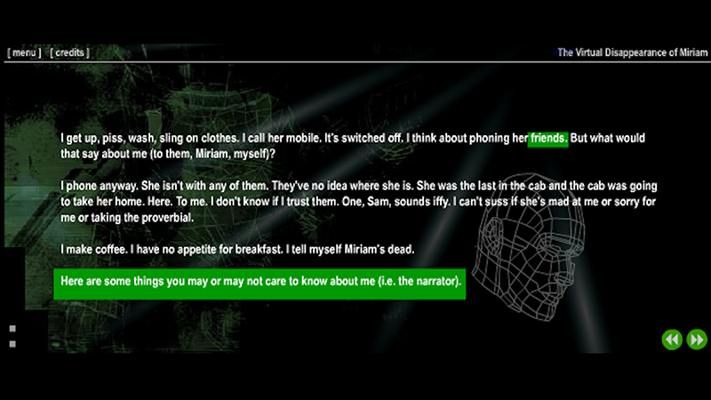 gallery image of The Virtual Disappearance of Miriam