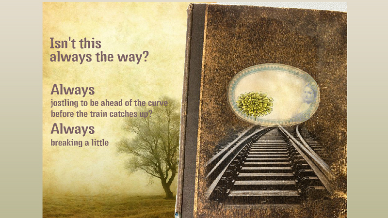 gallery image of Dandelion Chance