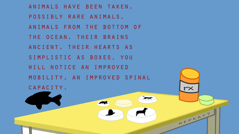 gallery image of Animals Are Placebos