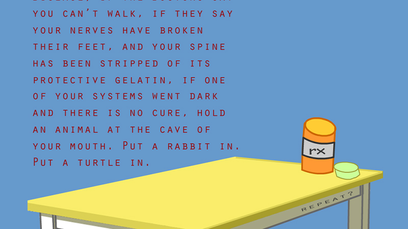 gallery image of Animals Are Placebos