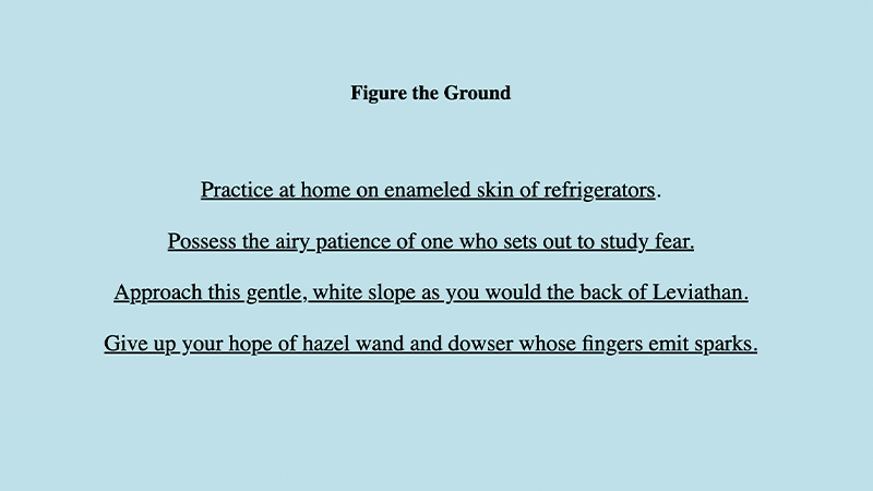 gallery image of To Find the White Cat in the Snow