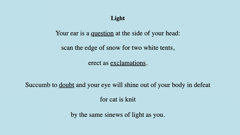 gallery image of To Find the White Cat in the Snow